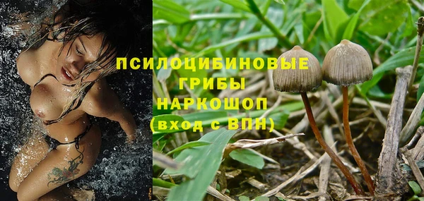 твердый Кулебаки