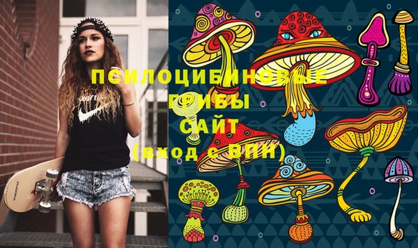 Альфа ПВП Армянск