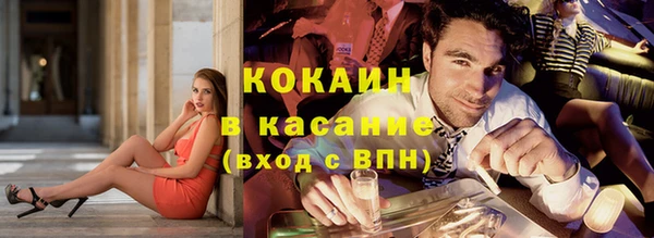 твердый Кулебаки