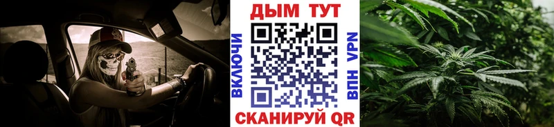 Шишки марихуана сатива  Купить где  Богородск 
